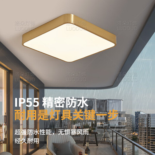 耐用全铜户外吸顶灯别墅超薄入户门灯走廊过道阳台灯露台防蚊虫庭 新X3893-400/方形