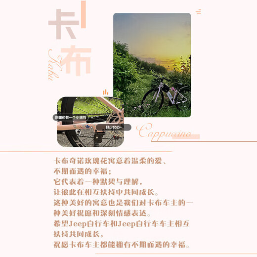 Jeep吉普公路自行车低跨度女式通勤单车卡布/700C-27速-皎月白-直把