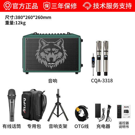 Ellip SE300 audio outdoor karaoke live broadcast internal recording electric blowpipe saxophone guitar singing audio mobile portable high-power Bluetooth stage performance speaker official flagship SE300 forest green + CQA3318 microphone