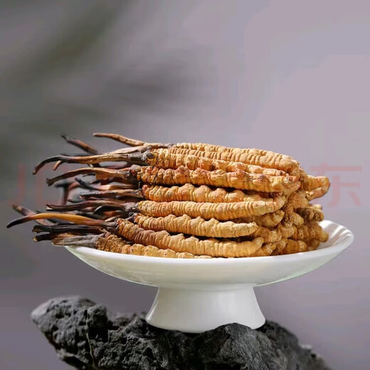 Cordyceps sinensis en las áreas tibetanas, el primer rastrojo de nieve en la primera etapa de los nuevos Cordyceps secos en las áreas tibetanas, varias especificaciones de cajas de regalo de alta calidad para regalos. 0,4 gramos de cordyceps en áreas tibetanas, con un total de 100 piezas de cordyceps en áreas tibetanas
