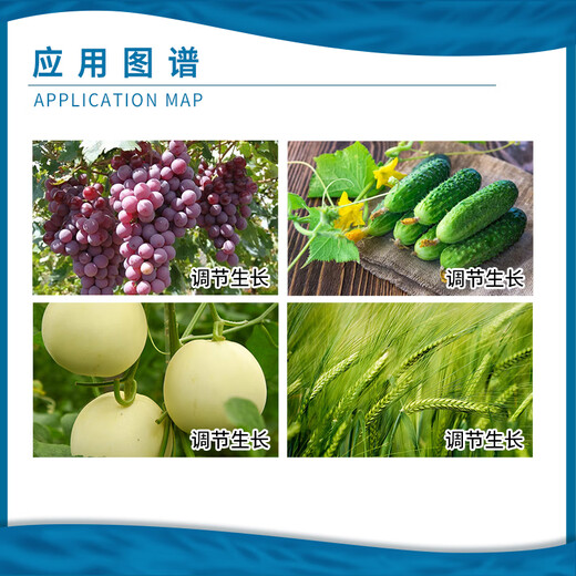 Lanyuesulon 0.1% Thidiazuron grape cucumber melon expansion regulator growth regulator 100g 100g