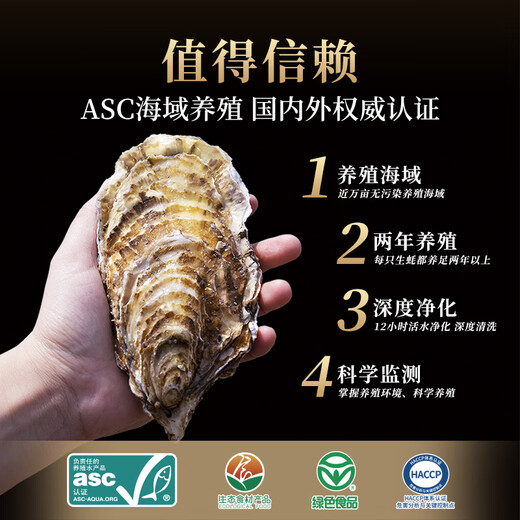 Lighthouse Jellyfish Fresh Rushan Oyster No. 2XL Net weight 5 Jin Jin equals 0.5 kg Straight from the source