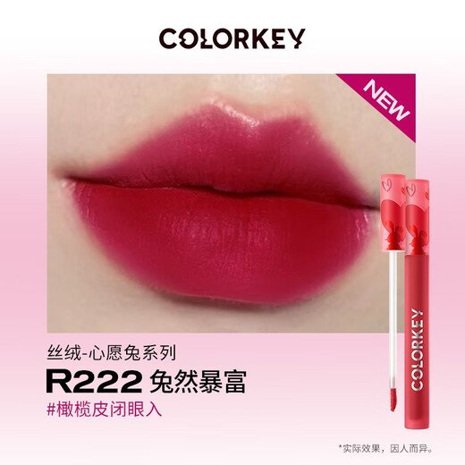 Colorkey Matte Velvet Lip Gloss Air Mirrat Miroir hydratant Miroir Snake Année Limite