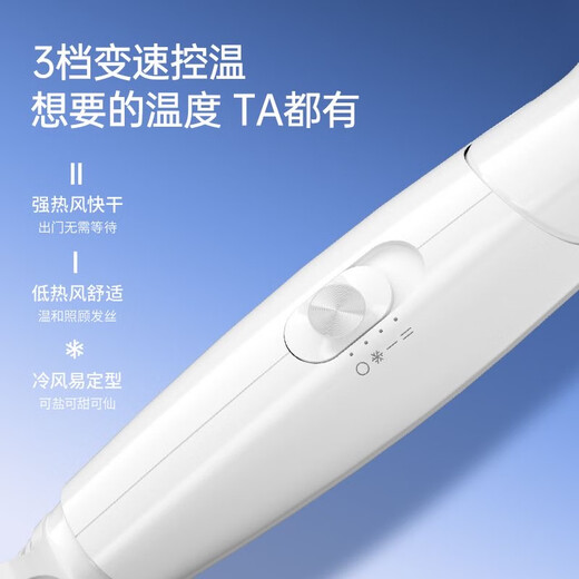FLYCO 飞科电吹风机家用吹风筒速干恒温冷热风学生宿舍可折叠大功率电吹风筒 FH6232【恒温6档调节 2000W】