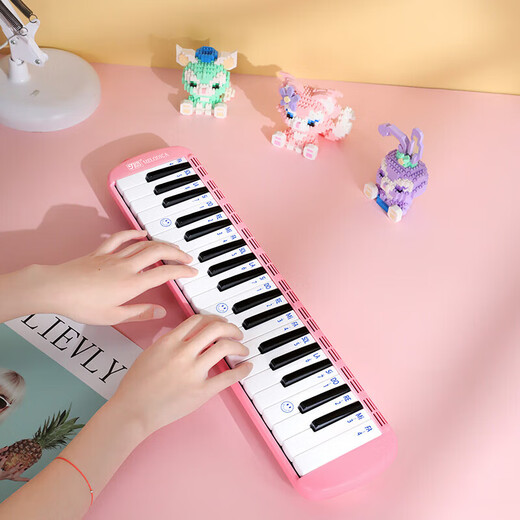 Jiaderui Organ 37 Keys Grundschule Junior High School Schüler für Klassenzimmer Unterrichten Anfänger Erwachsener Blasen Windinstrument Pink