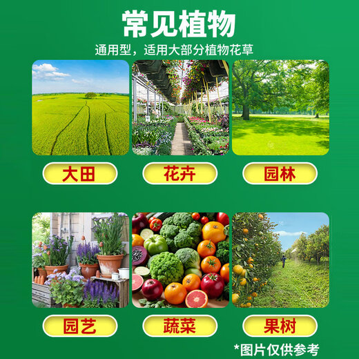 Plant 50% Carbendazim to clear fruit trees, vegetables, pear trees, field leaf black spots, plant sterilization pesticides and fungicides