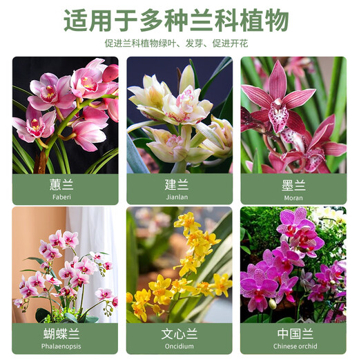 Captain's Garden Orchid Special Soil Clivia Phalaenopsis Planting Material Advanced Orchid Soil Granular Fertilizer High-end Pine Bark Orchid High-end Version 6 Liters (Approximately 5 Jin Jin is equal to 0.5 kg)