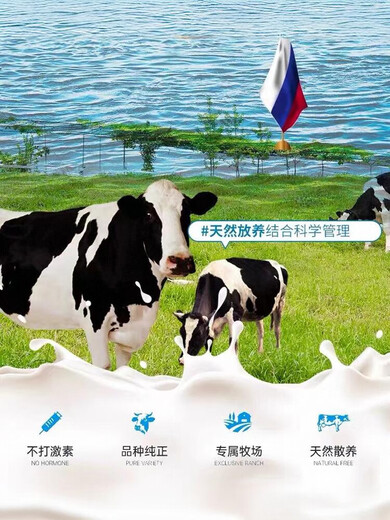 俄罗斯牛初乳蛋白粉 高钙中老年营养粉无蔗糖高钙冲泡高蛋白独立 500克*1袋 两种包装随机发货