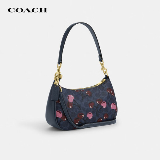蔻驰（COACH）女包TERI腋下包休闲便携轻奢大牌包新款精品礼物女 CY694 IMDEI