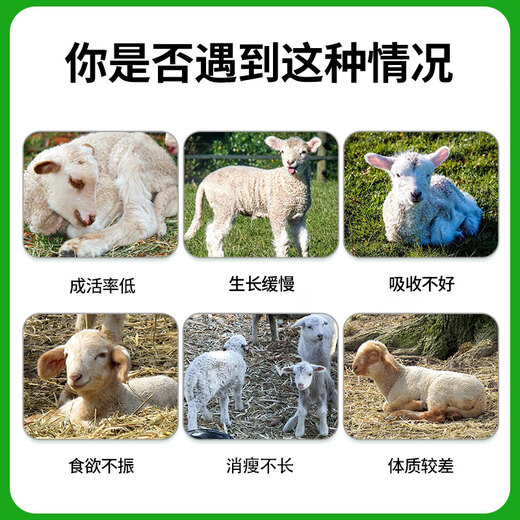 Yingmeier Yingmeier lamb premix pulled lamb precise opening material skeleton special fattening weight gain weaning sheep growing sheep lamb premix 20kg*3 bags 95 per bag