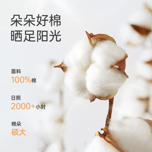 Wei Shi Muni Pregnant Mother's Gift Newborn Baby Pure Cotton Clothes Baby One-piece Clothes Gift Box 2-piece Gift Box Set (Four Seasons) 59cm