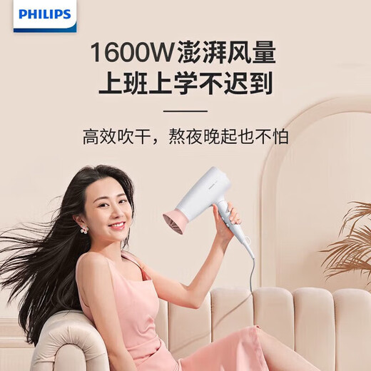 Philips hair dryer high-power quick-drying hair dryer portable and foldable | constant temperature hair care BHD308/05