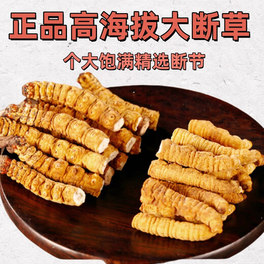 西那藏曲高海拔断冬虫夏草虫草断草大瓶装高海拔自用正宗家庭装 西藏那曲断草100克装送10发110克