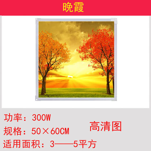Graphene heater mural 300W graphene carbon crystal wall heating mural heater electric heater instant heating toilet white board white frame mural electric heating plate 300W field