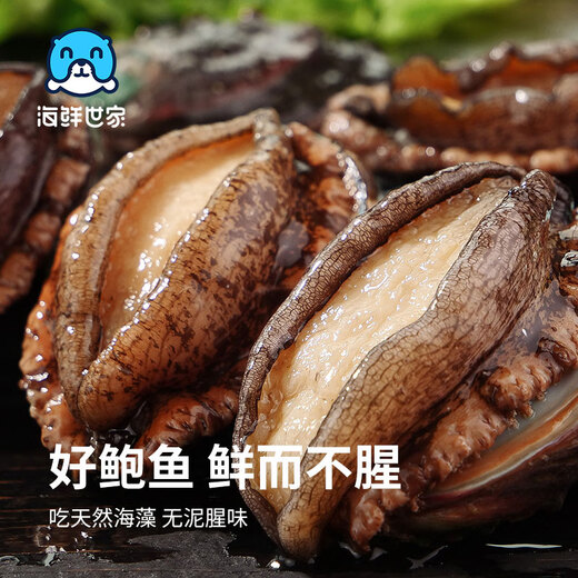 Seafood Family's extra-large belly abalone 12 pieces 360g boxed processing-free hot pot barbecue ingredients seafood gift box New Year's gift