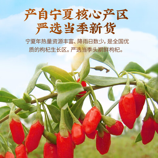 雷允上 宁夏枸杞子6g*30袋 药典标准 中药饮片级 滋补肝肾 益精明目 道地精选滋补品不熏不染 独立包装便携