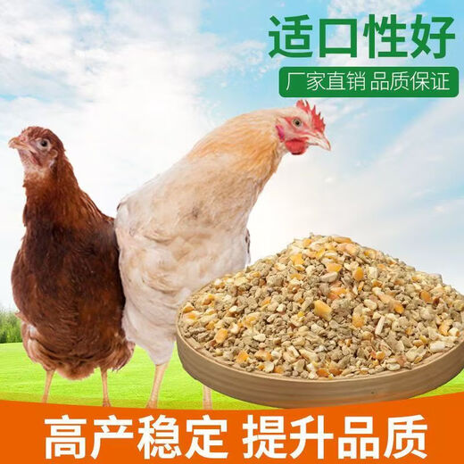 Factory direct sales 80 Jin Jin equal to 0.5 kg layer hen feed for hens, egg laying broiler fattening pellets, full price nesting breeding special 40 Jin Jin equal to 0.5 kg layer hen feed