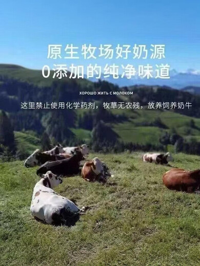 俄罗斯牛初乳蛋白粉 高钙中老年营养粉无蔗糖高钙冲泡高蛋白独立 500克*1袋 两种包装随机发货