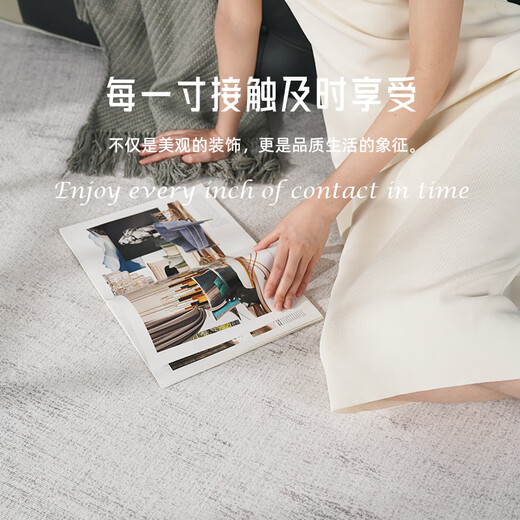 AOVOC Nordic style carpet living room 2025 new no-wash and wipeable light luxury and high-end sense Jingbo Huanyun 2.4*3.4 meters