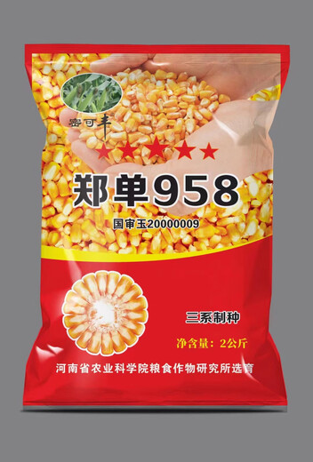 Высокоурожайные семена кукурузы Zhengdan 958, одобренные на национальном уровне Zhengdan 958 Daquan, большая палочка, белый вал, устойчивость к полеганию и засухоустойчивость, карликовые прицветники, Академия сельскохозяйственных наук Mixifeng Zhengdan 958 4Jin Jin соответствует 0,5 кг 1 мешок