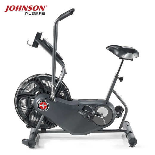 JOHNSON Wind Resistance Spin Bike Schwinn AD6i Fan Bike Belt Low Noise Luxury Home Exercise Bike Black