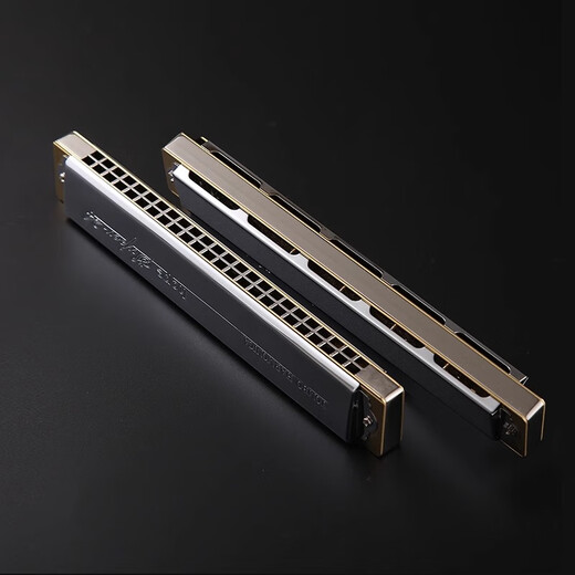 Tombo Japan Tongbao 6624s Customized Copper Grid Version 24 Loch Erwachsene Studenten spielen polyphonische Harmonika F Melodie