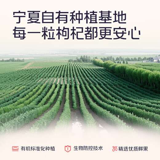 百瑞源出品 果小凡红枸杞原浆礼盒900ml 宁夏中宁红枸杞子鲜枸杞汁100%