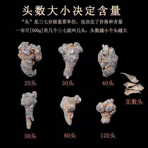 Panax notoginseng, authentic Yunnan Wenshan Chun Panax notoginseng, wild Chinese herbal medicine Tianqi, special grade slip-tall slimming slimming slimming 500 grams, each Jin[Jin is equal to 0.5 kg] 14 slip-tall slimming slimming slimming slimming slimming slimming slimming slimming slimming slimming slimming slimming slimming slimming slimming slimming slimming slimming slimming slimming slimming slimming slimming slimming slimming slimming slimming slimming slimming slimming slimming slimming slimming slimming slimming s