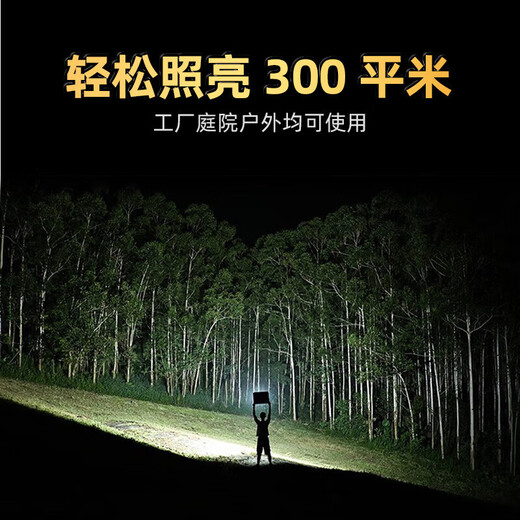 Deyan led floodlight outdoor lighting waterproof outdoor spotlight industrial lighting high power factory street light 100W-white light high brightness model