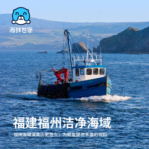 Seafood Family's extra-large belly abalone 12 pieces 360g boxed processing-free hot pot barbecue ingredients seafood gift box New Year's gift