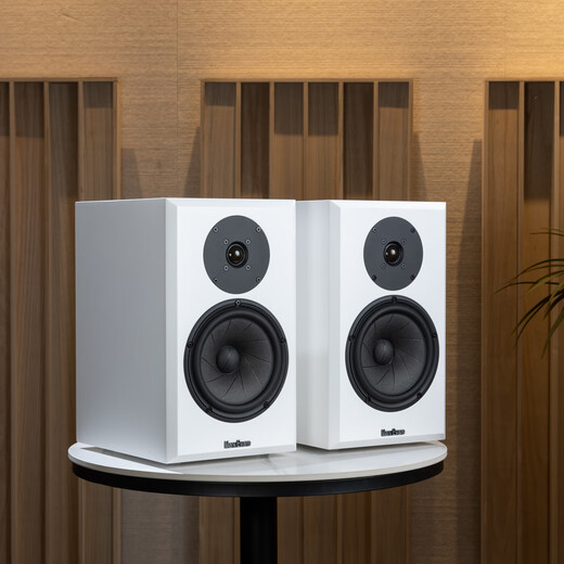
Trasam Quanxiang D100 Introduction Analysis Set Combination Multifunctional Amplifier 6.5-inch Customized Speaker Unit High-Fidelity Passive Bookshelf Speaker Quanxiang D100 Set Manufacturer Direct Sale