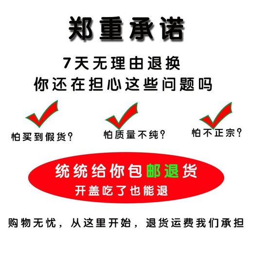 Yunnan Wenshan reines Panax Notoginseng Pulver Extra Wild Authentic Panax Notoginseng Chinesische medizinische Materialien Superfine -Pulver zur Linderung der Muskeln und 250 -g -Versuchspaket 1 (Neue Kundenerfahrung)