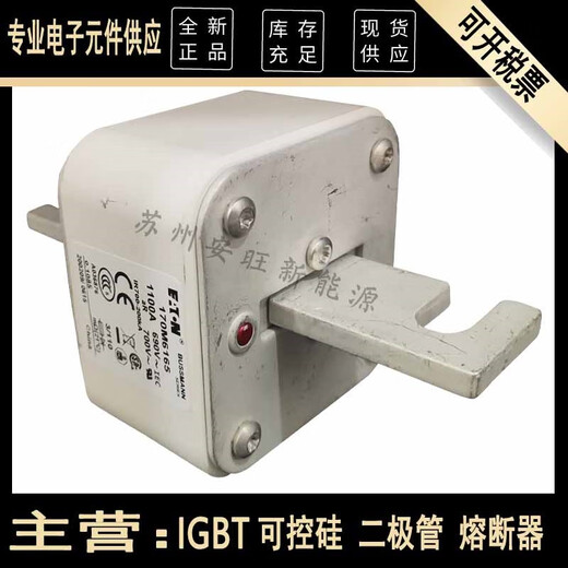 克莱斯曼全新原装现货熔断器170M6165 170M6166 170M6167 170M6168 170M6810