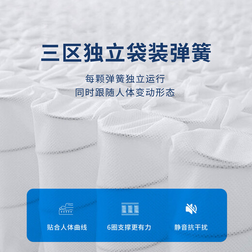 索思乐床垫1.8x2米 席梦思床垫天然乳胶1.5x2米弹簧床垫 家用软硬垫 全拆PRO款【销量明星 全龄盲选】 1350mm*1900mm