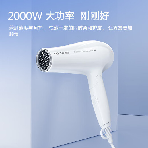 Secador de cabello de Flyco 2000w para aire caliente y frío de aire caliente Alta potencia sin daños al secador de cabello Fuerte Viento puede plegar una máquina de temperatura constante de viento eléctrico para soplar yabai portátil [FH6232]