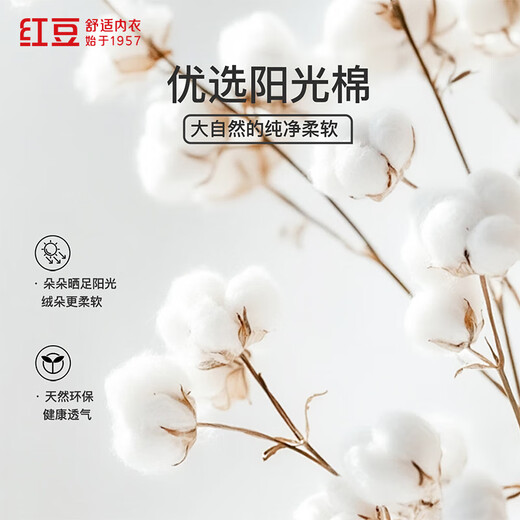 红豆背心女棉氨弹力透气简约通勤百搭可外穿圆领背心【25年春夏上新】