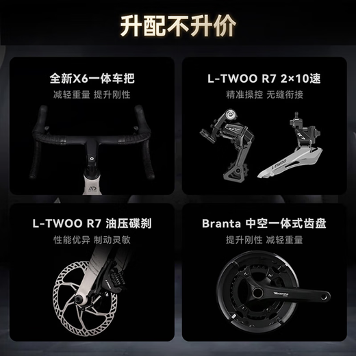 喜德盛（xds）25新款AD300公路车 开箱即骑全隐藏车架20速油碟桶轴ad成人自行车 白蛇 | 顺丰包邮 510mm（身高170-180cm）