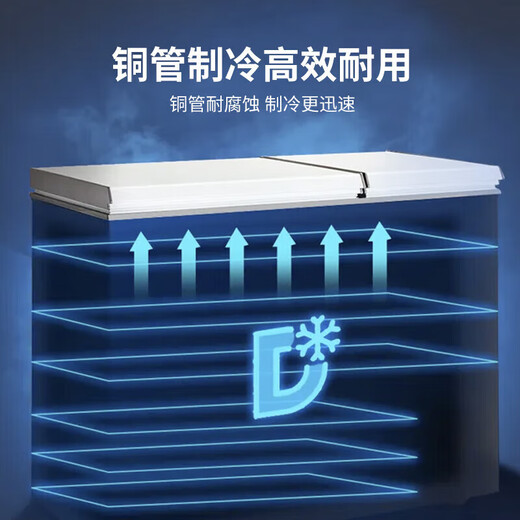 荣事达688商用家用卧式大冷柜大容量 冷藏冷冻转换冰柜商用小型单温冰箱全冷冻柜 一级能效 366升双箱双温冰柜【一级能效】