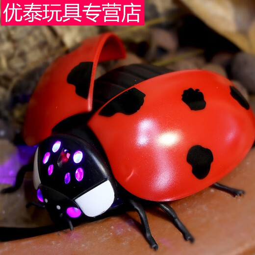 【京品】电动遥控瓢虫玩具儿童网红仿真整蛊感应会动昆虫爬虫动物 遥控瓢虫红色9922+螺丝刀