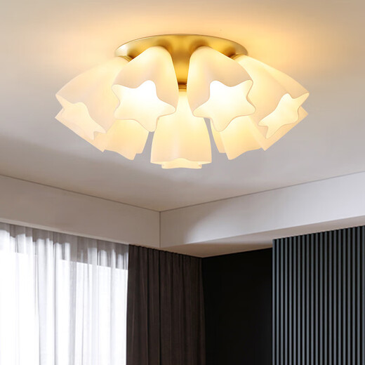 
Pupan Nordic Yunduo Ceiling Light Luxury Restaurant Internet Celebrity Living Room Wedding Room Children's Room Bedroom Guangdong Zhongshan Lamp C9926-1 Top Dish-L-ED Warm Light