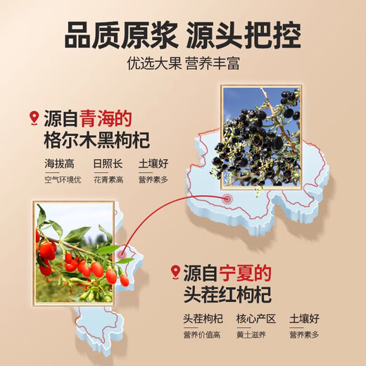北京同仁堂红黑枸杞原浆礼盒 青海宁夏鲜果鲜榨不添加原汁原液送女神送父母见家长礼物