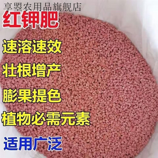 Potash fertilizer wholesale Russian imported high-potassium high-efficiency fertilizer general instant fertilizer for agricultural flowers, fruit trees and vegetables red granular potash fertilizer 100Jin Jin equal to 0.5kg