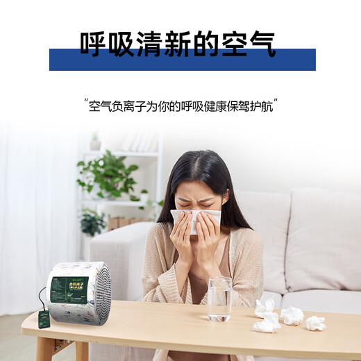 Jianshijia Negative Ion Generator Home Office Small Particle Size Negative Oxygen Ion Machine Air Purifier Ecological Grade Health Care Instrument Ruyao White 500 Million Negative Ion 40 Gold Needle Emitting Head (Send Test Pen)
