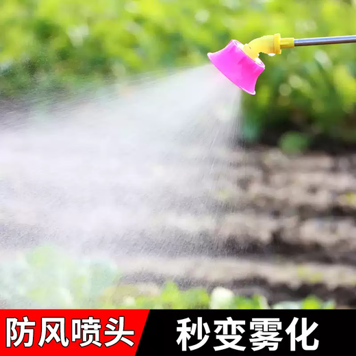 aolalbom奥莱邦12V充电式抽水泵电动小型家用抽水机自动浇菜神器浇水机 A826续航王+10米管 产品清单在第二张主图
