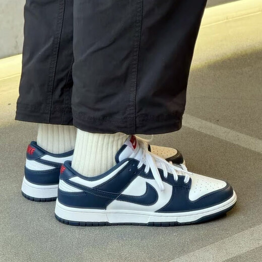 Nike (Nike) Мужская обувь 2025 Весна и осень Новая Данка Низкая классическая ретро спортивная обувь с низким топом повседневными туфлями DD1391-400 Белый и синий 40,5