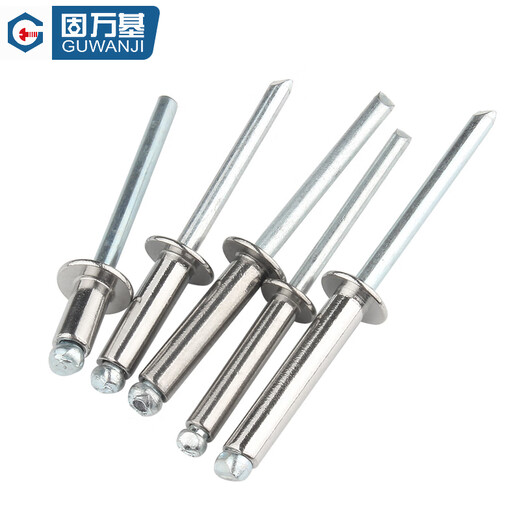 GUWANJI open type flat round head blind rivets 304 stainless steel semi-steel rivets round head blind rivets M3.2x12 100 pcs/pack
