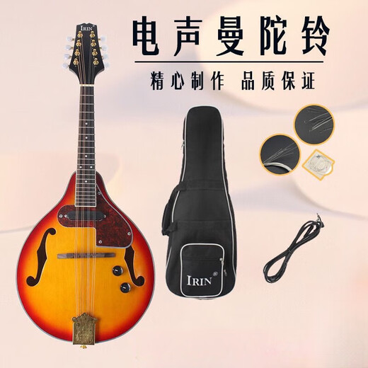Otras marcas de instrumentos de cuerda occidental, piano de guitarra de mandolina de la mandolina acústica eléctrica, instrumentos étnicos, mandolina tibetana, bolsa de mandolina