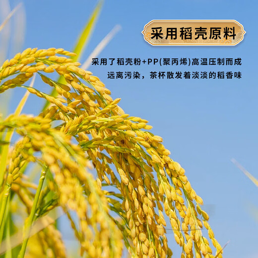 Disposable kung fu cup 170ml business rice husk cup water cup thickened and hardened not easy to deform and not easy to burn hands white 200 pieces