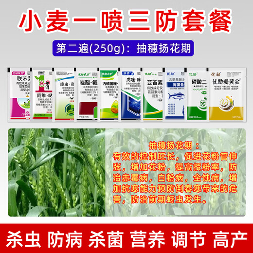 One-spray three-prevention high-yield package for wheat to increase yield, foliar fertilizer, aphid rust, scab, powdery mildew special pesticide, bagged, 8 packets of medicine for the first pass (150g)