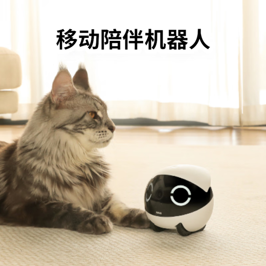 Enabot Rola Mini Caméra de surveillance mobile entière Remote Remote Contrôle sans fil Surveillance Cadeau électronique Boyfriend Boyfriend / mari Ebo Robot Rola Mini Version Standard [Card Memory 32G]